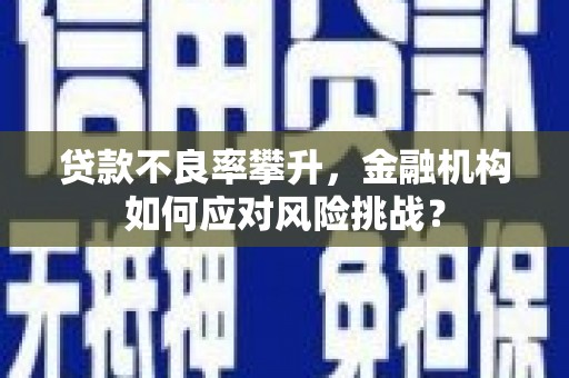 红星贷款不良率攀升，金融机构如何应对风险挑战？