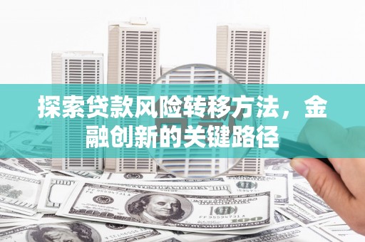 红星探索贷款风险转移方法，金融创新的关键路径