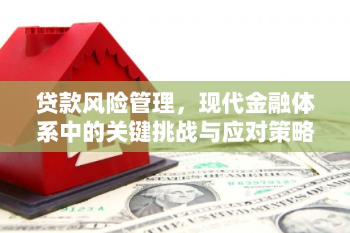 红星贷款风险管理，现代金融体系中的关键挑战与应对策略