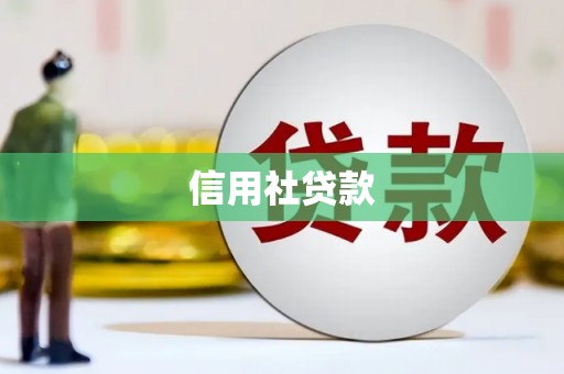 红星信用社贷款