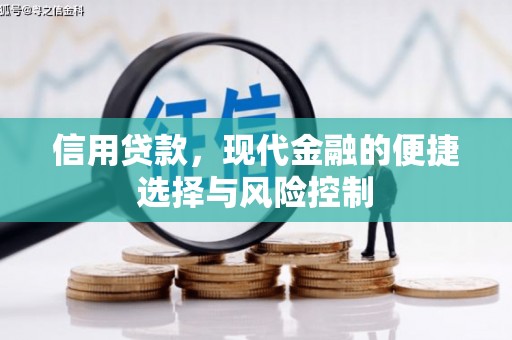 红星信用贷款，现代金融的便捷选择与风险控制