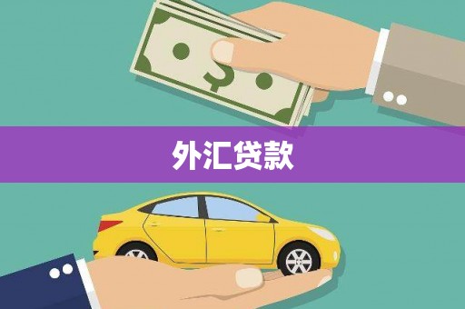 红星外汇贷款