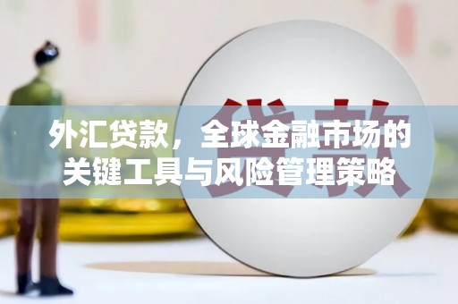 红星外汇贷款，全球金融市场的关键工具与风险管理策略