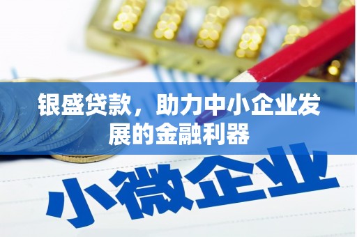 红星银盛贷款，助力中小企业发展的金融利器