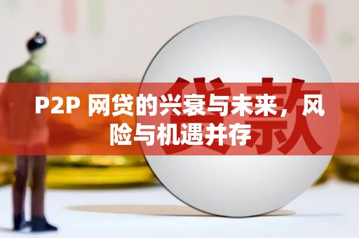 红星P2P 网贷的兴衰与未来，风险与机遇并存