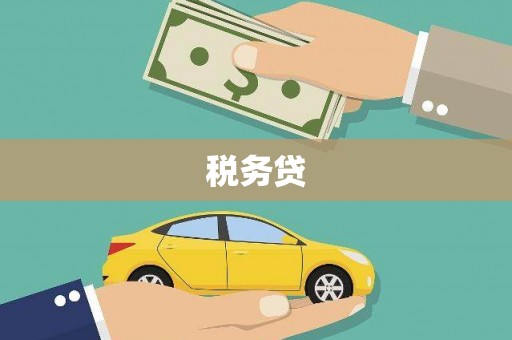 红星税务贷