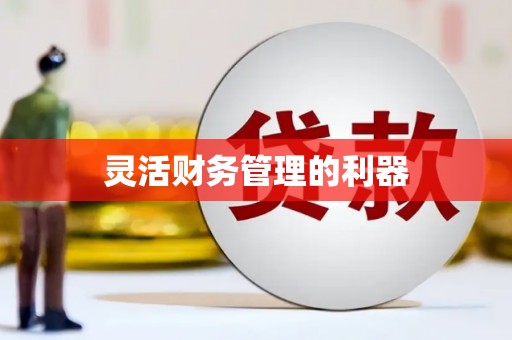 红星灵活财务管理的利器