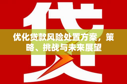 红星优化贷款风险处置方案，策略、挑战与未来展望