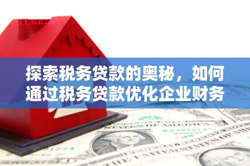红星探索税务贷款的奥秘，如何通过税务贷款优化企业财务