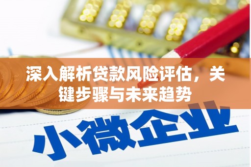 红星深入解析贷款风险评估，关键步骤与未来趋势