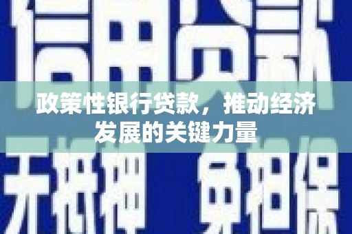 红星政策性银行贷款，推动经济发展的关键力量