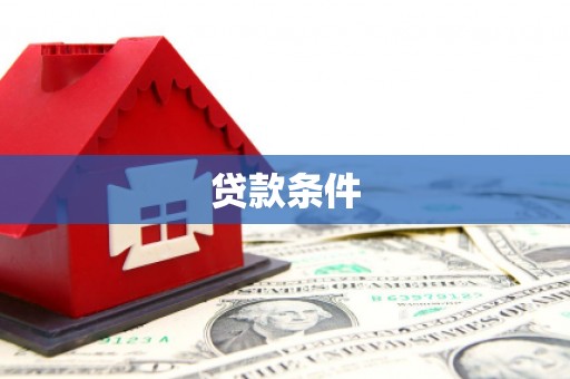 红星贷款条件