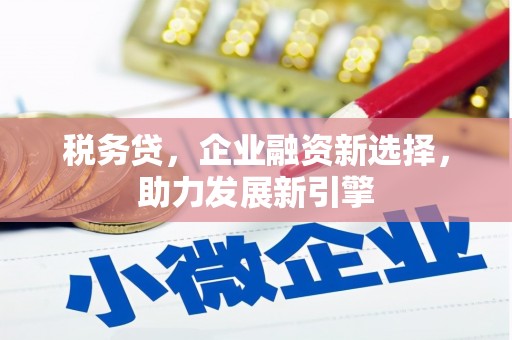 红星税务贷，企业融资新选择，助力发展新引擎