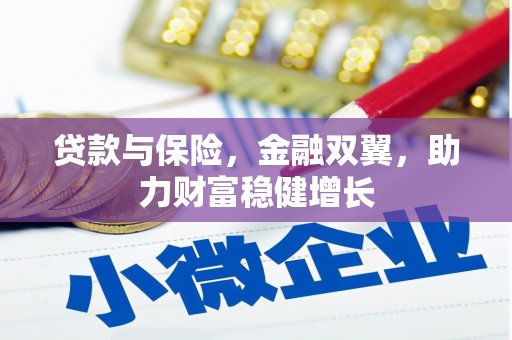 红星贷款与保险，金融双翼，助力财富稳健增长