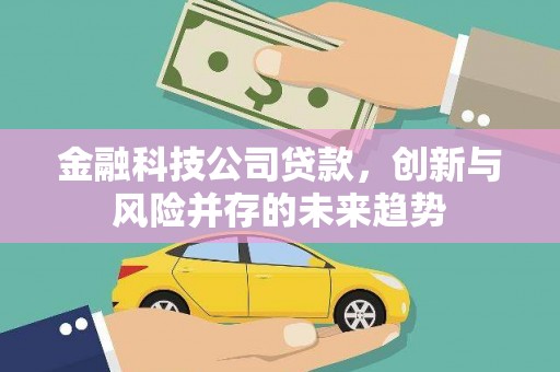 红星金融科技公司贷款，创新与风险并存的未来趋势