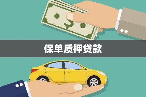 红星保单质押贷款