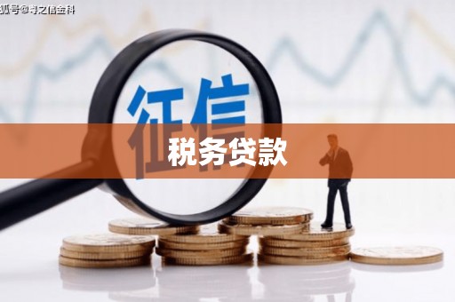 红星税务贷款