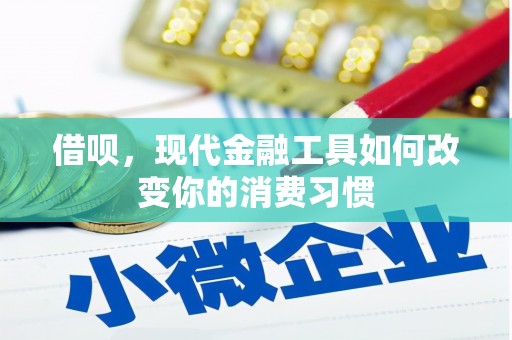 红星借呗，现代金融工具如何改变你的消费习惯