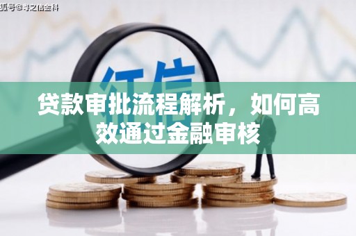 红星贷款审批流程解析，如何高效通过金融审核