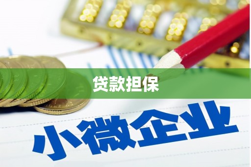 红星贷款担保