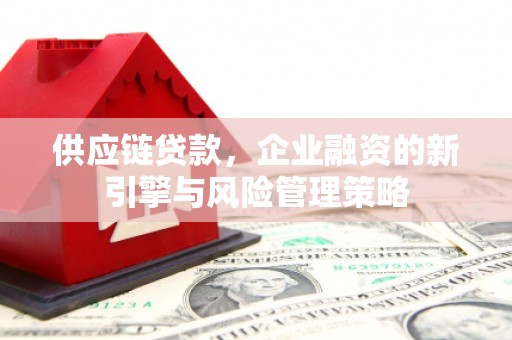 红星供应链贷款，企业融资的新引擎与风险管理策略