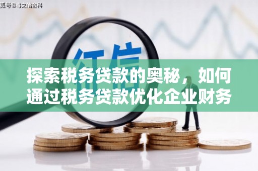 红星探索税务贷款的奥秘，如何通过税务贷款优化企业财务