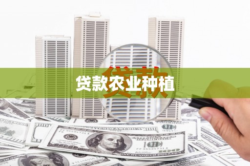 红星贷款农业种植