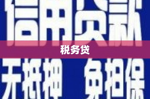 红星税务贷