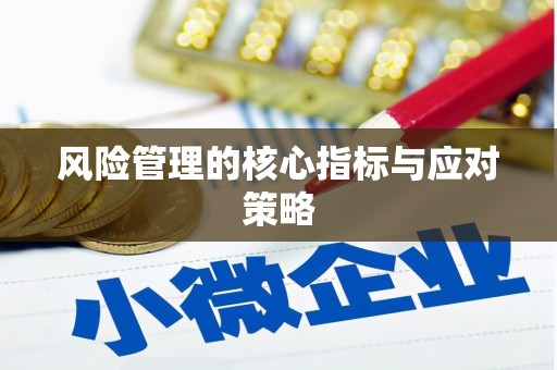 红星风险管理的核心指标与应对策略
