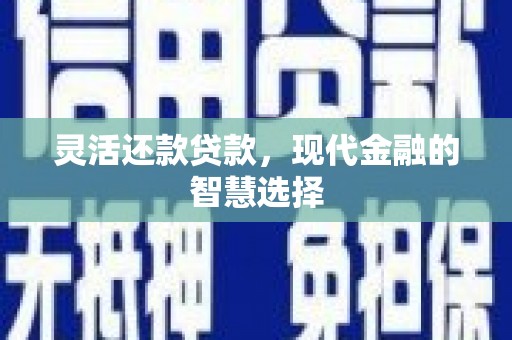 红星灵活还款贷款，现代金融的智慧选择