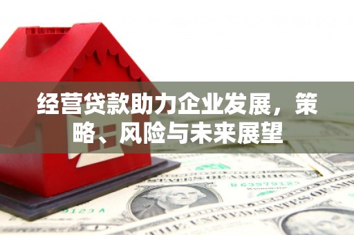 红星经营贷款助力企业发展，策略、风险与未来展望