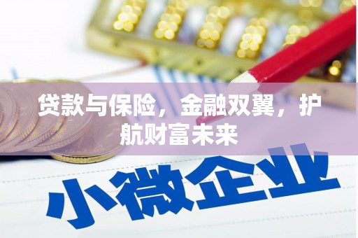 红星贷款与保险，金融双翼，护航财富未来