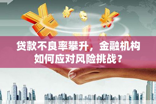 红星贷款不良率攀升，金融机构如何应对风险挑战？