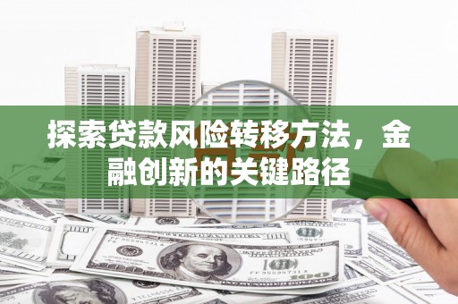 红星探索贷款风险转移方法，金融创新的关键路径