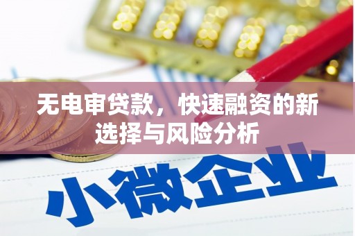 红星无电审贷款，快速融资的新选择与风险分析