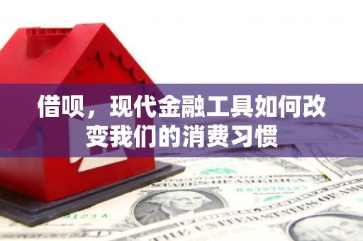 红星借呗，现代金融工具如何改变我们的消费习惯