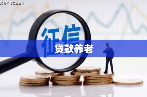 红星贷款养老