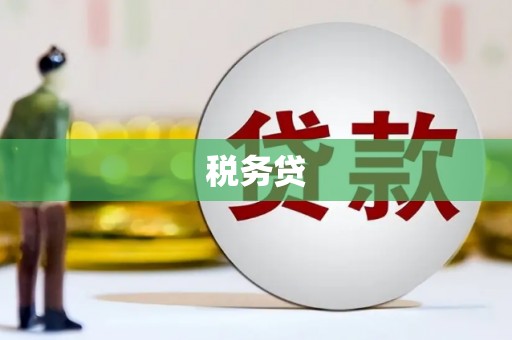 红星税务贷