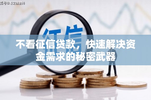 红星不看征信贷款，快速解决资金需求的秘密武器