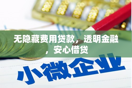 红星无隐藏费用贷款，透明金融，安心借贷