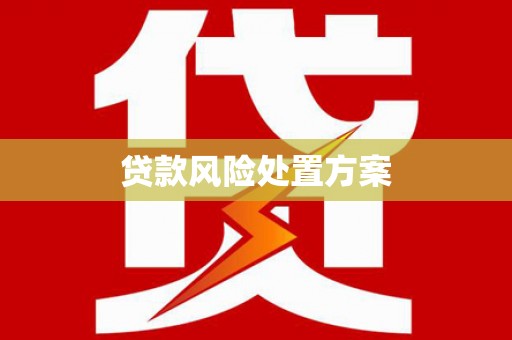 红星贷款风险处置方案