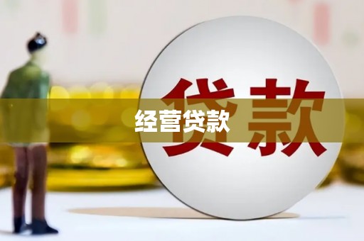 红星经营贷款
