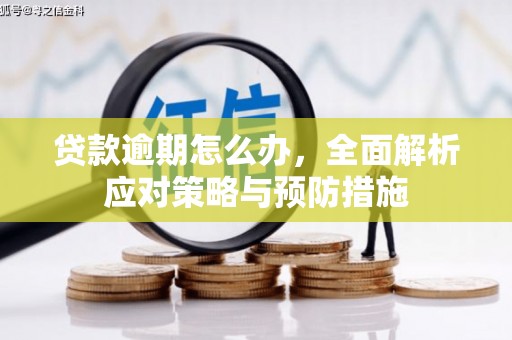 红星贷款逾期怎么办，全面解析应对策略与预防措施