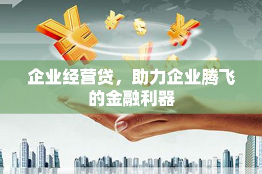 红星企业经营贷，助力企业腾飞的金融利器