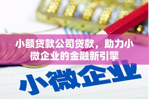 红星小额贷款公司贷款，助力小微企业的金融新引擎