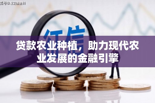 红星贷款农业种植，助力现代农业发展的金融引擎