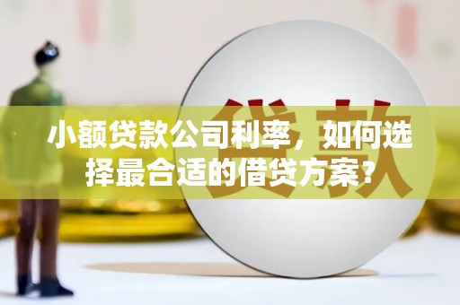 红星小额贷款公司利率，如何选择最合适的借贷方案？