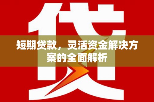 红星短期贷款，灵活资金解决方案的全面解析