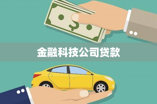 红星金融科技公司贷款