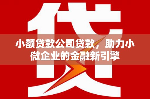 红星小额贷款公司贷款，助力小微企业的金融新引擎
